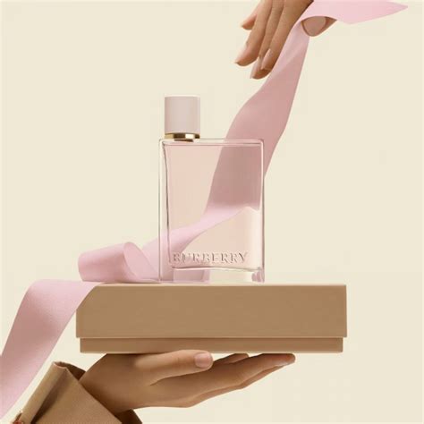 burberry anhangeretui|burberry her fragrance.